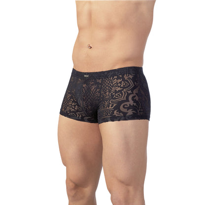 Svenjoyment Patterned Brief - Transparent Devoré Elegance