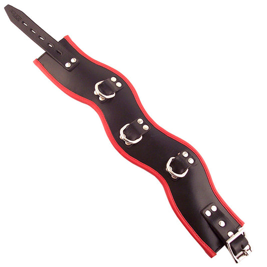 Rouge Black & Red Padded Posture Collar 16.5" - Root Posture