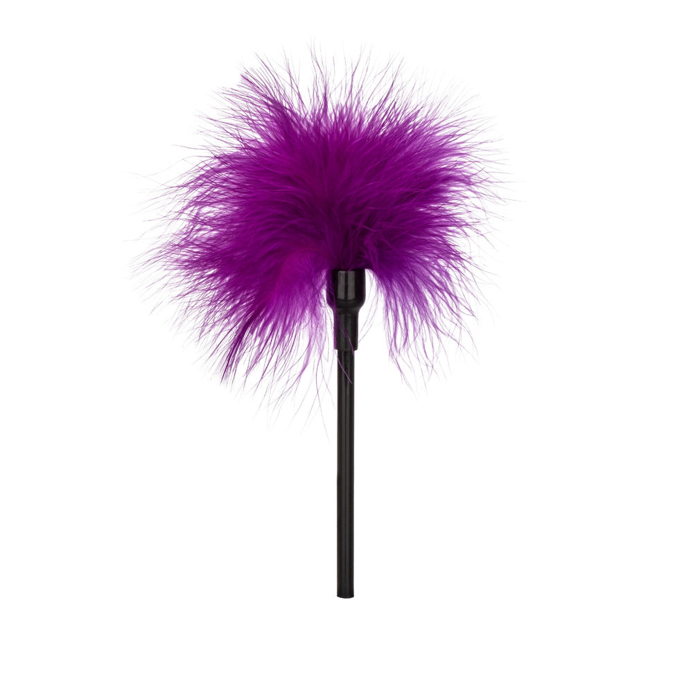 Playful Tickler 9" Colourful - Natural Feather ABS Handle Wispy Soft Foreplay